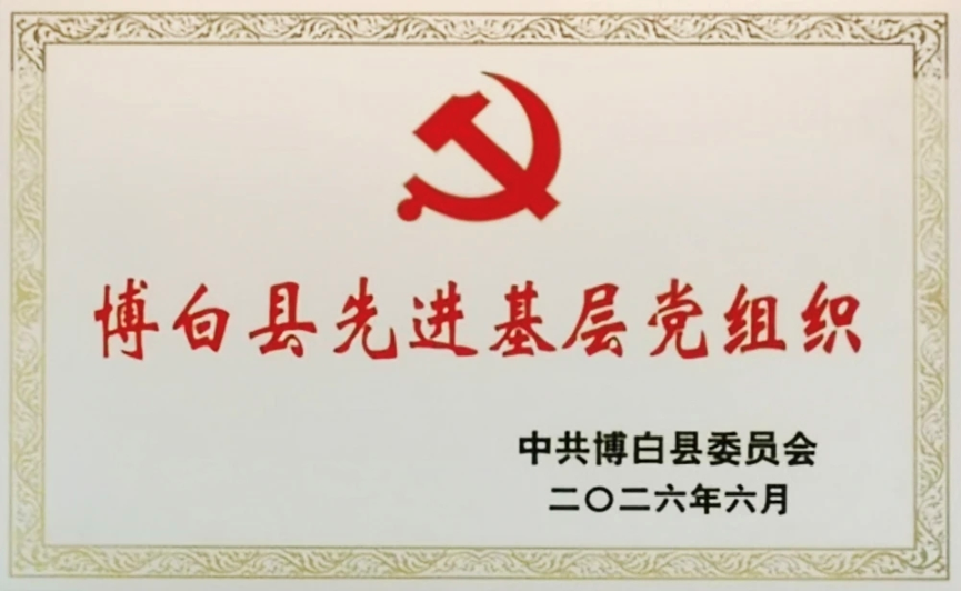 广西银亿高新技术研发有限公司党支部荣获“博白县先进基层党组织”称号